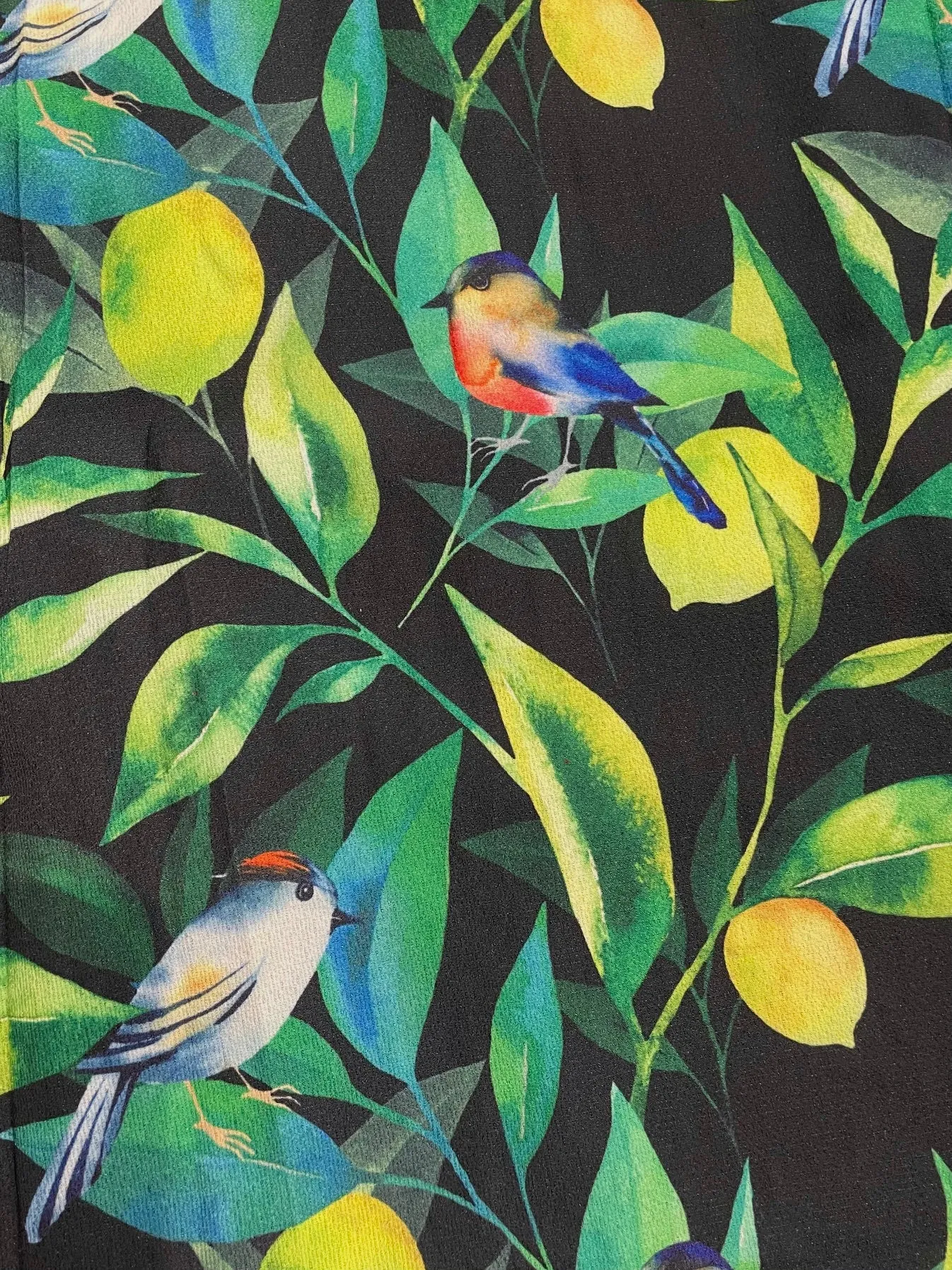 Song Bird Dress